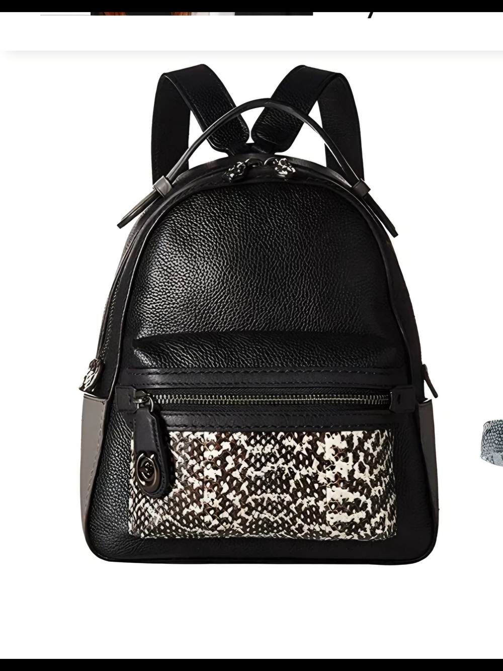 Coach Campus Backpack 23 Black Pebble Leather Gray Snakeskin Mini Backpack 2019